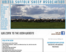 United Suffolk Sheep Assoc.
